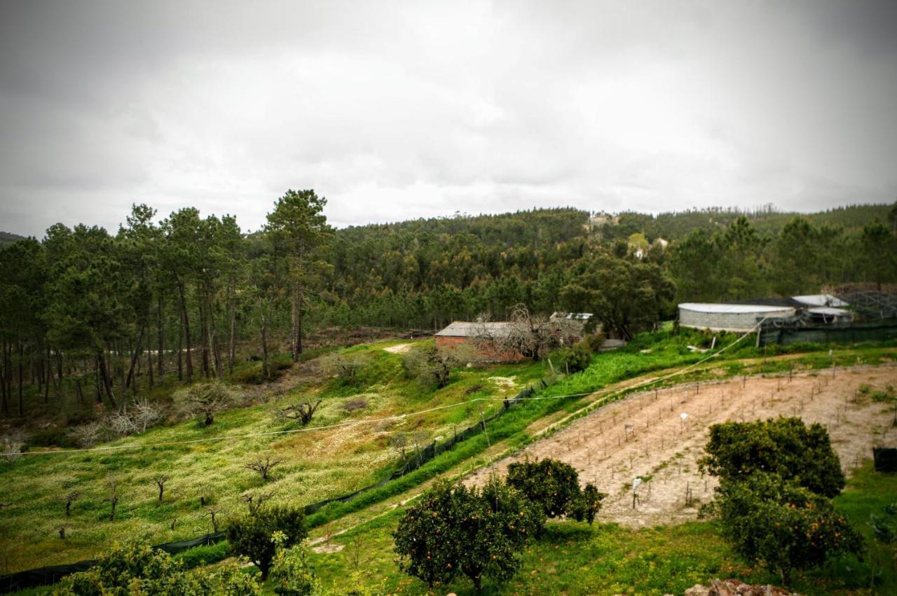 Quintinha Do Outeirinho Bed & Breakfast Soure Bagian luar foto